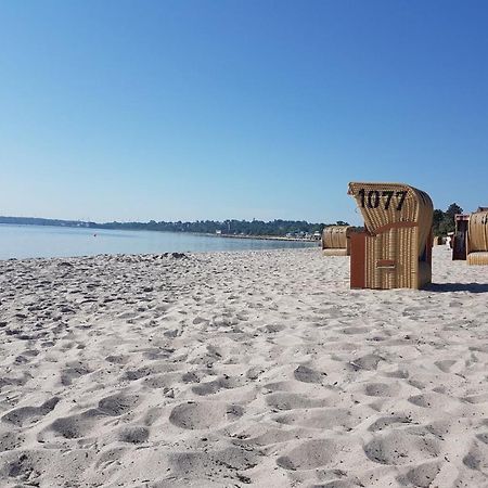 Zwergtaucher Eckernförde Esterno foto